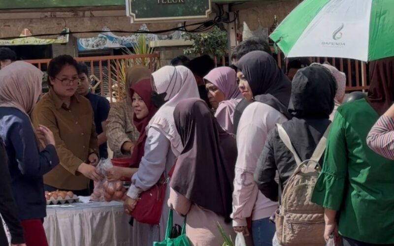 Screenshot_2026-03-11-19-49-57-095_com.whatsapp-edit